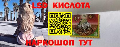 spice Кандалакша