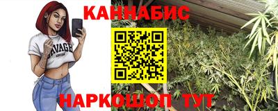 spice Кандалакша