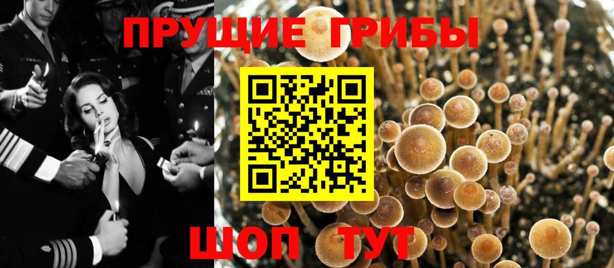 где купить наркоту  Вход с VPN  Армавир  Псилоцибиновые грибы мухоморы 