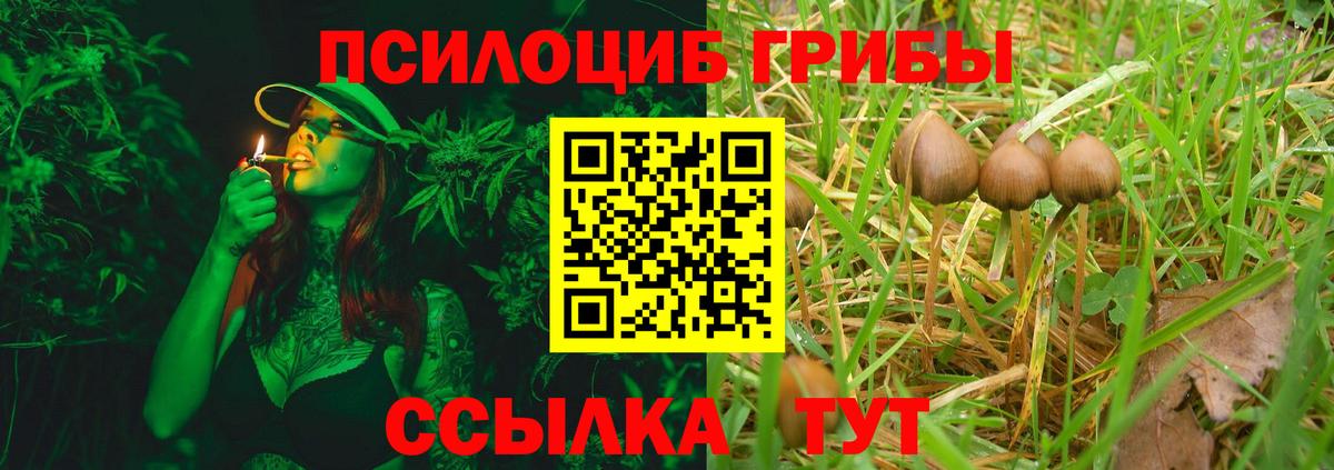 Галлюциногенные грибы Cubensis Армавир